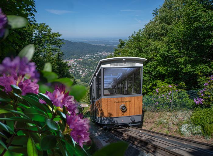 Blick von der Merkur Bergbahn auf Baden-Baden