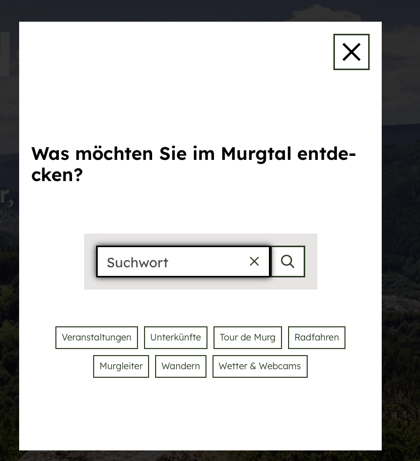 Suchfenster der Website