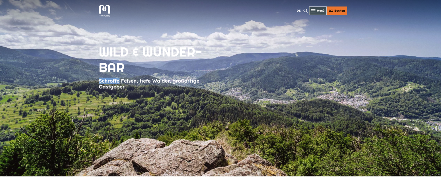 Ansicht der Startseite der Internetseite